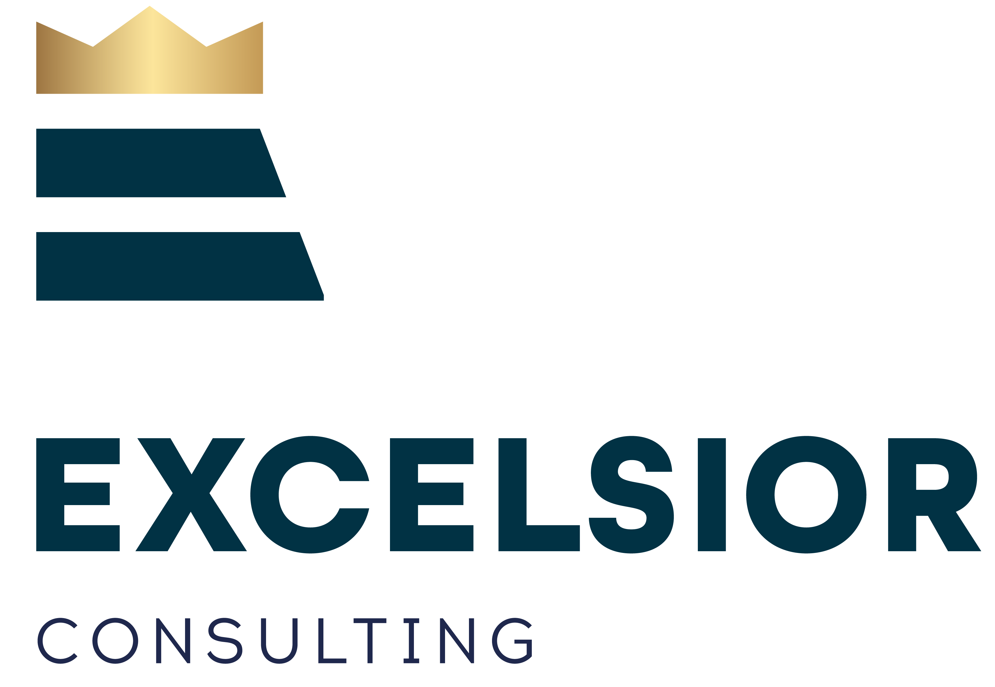 Excelsior ABOUT US